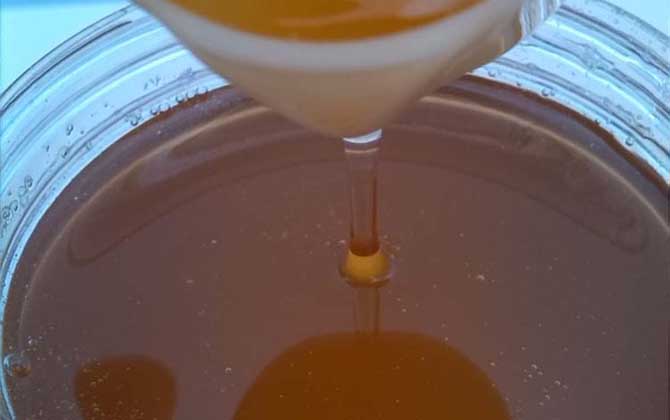 中國四大名蜜是哪些? 荊條蜜