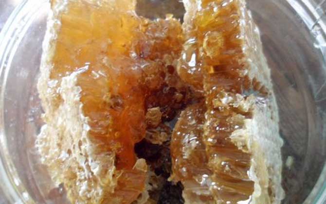 純野生蜂蜜二百元一斤貴嗎? 野生蜂蜜