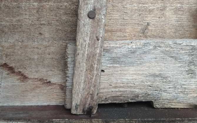 新蜂箱的氣味怎么處理? 蜂箱