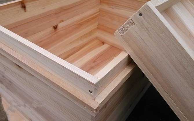 大蜂箱好還是小蜂箱好? 蜂箱