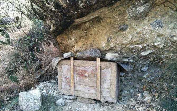 誘蜂箱來(lái)了十幾只蜂能誘到嗎? 誘蜂箱