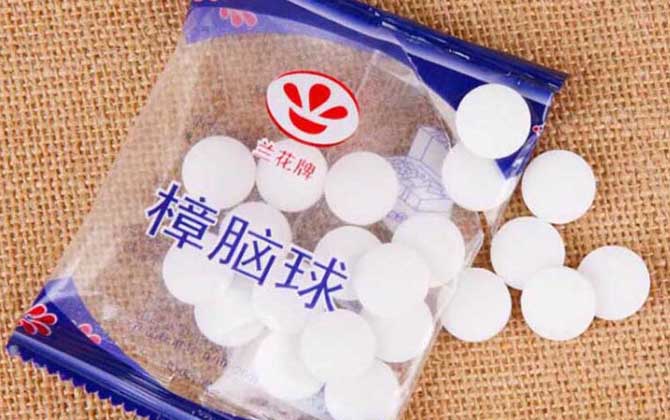 衛生球怎樣治蜂螨最有效? 衛生球