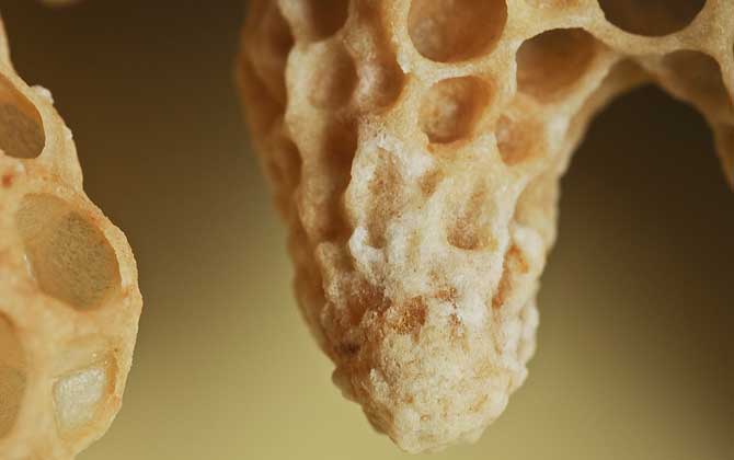 蜂后死了蜂群怎么辦?實際上蜂群能自救,自救失敗也還有辦法! 蜂后