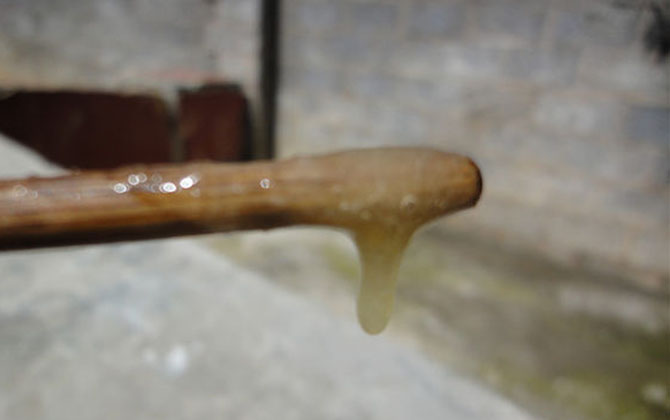 蜂蜜價格多少錢一斤?因蜂蜜種類的不同,蜂蜜價格也千差萬別! 假蜂蜜