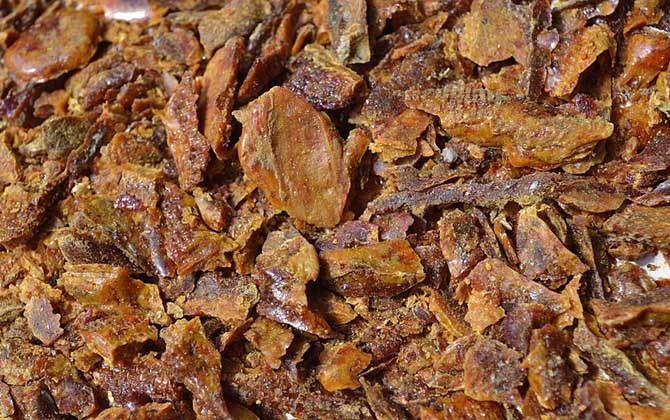 蜂膠的作用與功效有哪些?不但能增強免疫,而且還能降“三高”! 蜂膠