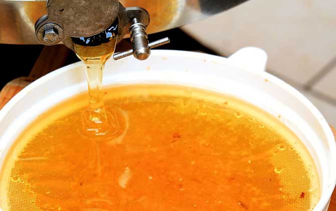 蜂蜜可以洗臉嗎?用對了好處不用多說,用錯(cuò)了反而引發(fā)肌膚問題! 蜂蜜