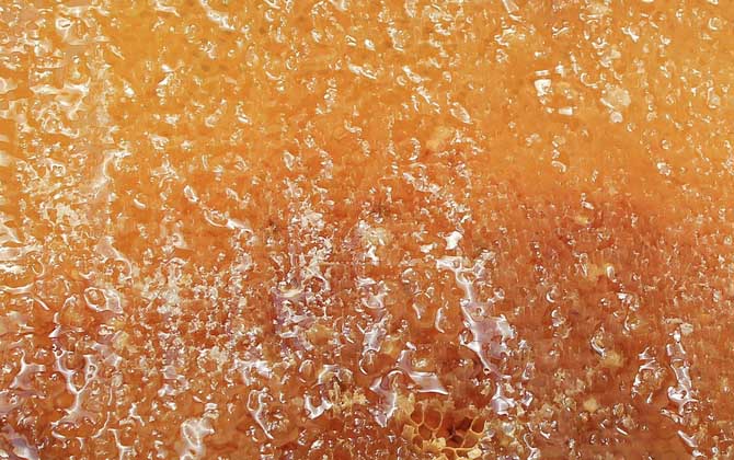 蜂蜜可以洗臉嗎?用對了好處不用多說,用錯(cuò)了反而引發(fā)肌膚問題! 蜂蜜