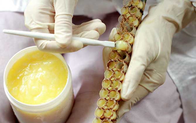 蜂王漿是怎么來的?生產過程復雜且產量低,難怪價格賣得這么貴! 蜂王漿