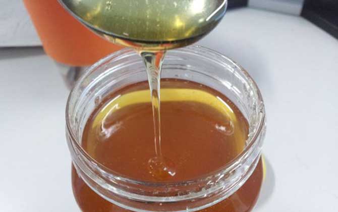 枸杞蜂蜜的作用與功效有哪些?不但能增強(qiáng)體質(zhì),還能補(bǔ)腎壯陽(yáng)! 枸杞蜂蜜