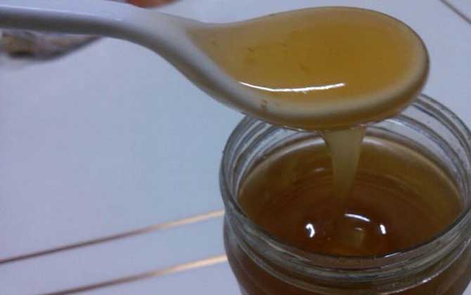 枸杞蜂蜜的作用與功效有哪些?不但能增強(qiáng)體質(zhì),還能補(bǔ)腎壯陽(yáng)! 枸杞蜂蜜