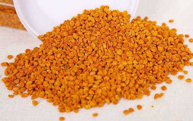 茶花粉的功效與作用有哪些?經(jīng)常吃些茶花粉,這6個好處跑不了! 茶花粉