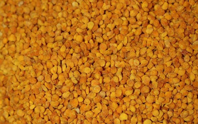 茶花粉的功效與作用有哪些?經(jīng)常吃些茶花粉,這6個好處跑不了! 茶花粉