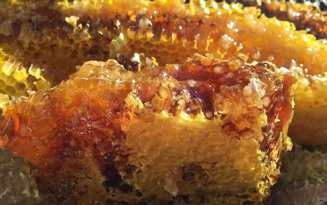 蜂巢酒的禁忌有哪些?除了不能過量飲用,還要警惕發生過敏反應! 蜂巢