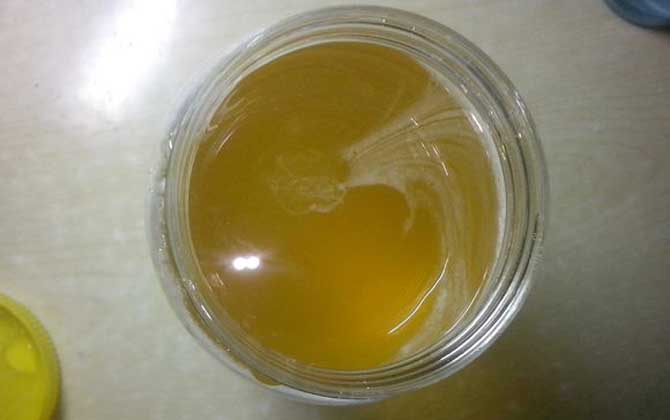 牛奶可以加蜂蜜嗎?完全沒有任何問題,二者搭配后營養更能互補! 蜂蜜