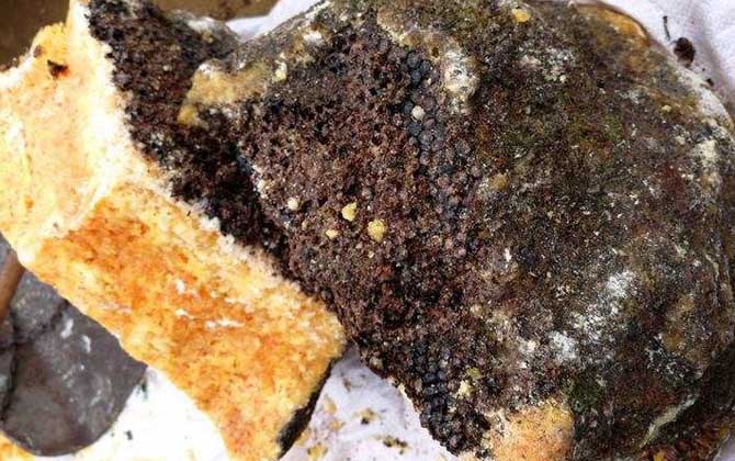 石蜜是什么東西?和蜂蜜沒有任何關(guān)系,騙子常用來欺騙消費者! 石蜜