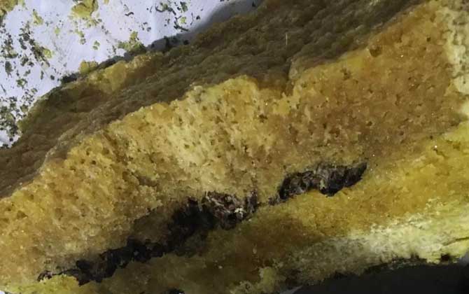 石蜜是什么東西?和蜂蜜沒有任何關(guān)系,騙子常用來欺騙消費者! 石蜜