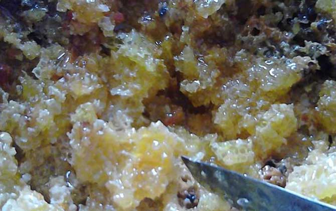 土蜂蜜和普通蜂蜜的區別,不但釀制蜂種不同,營養價值也不同! 土蜂蜜