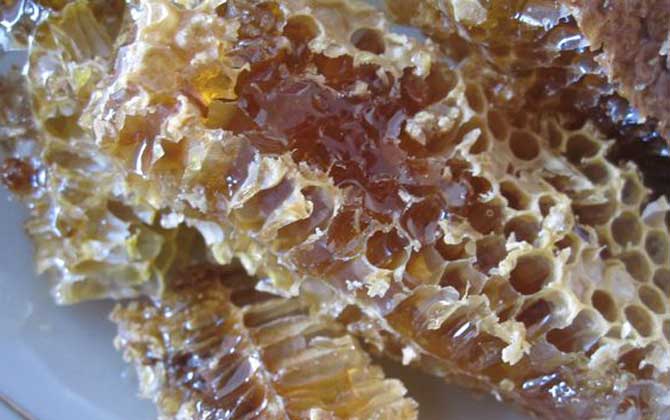 土蜂蜜的作用與功效有哪些?經常喝土蜂蜜,這7個好處跑不了! 土蜂蜜