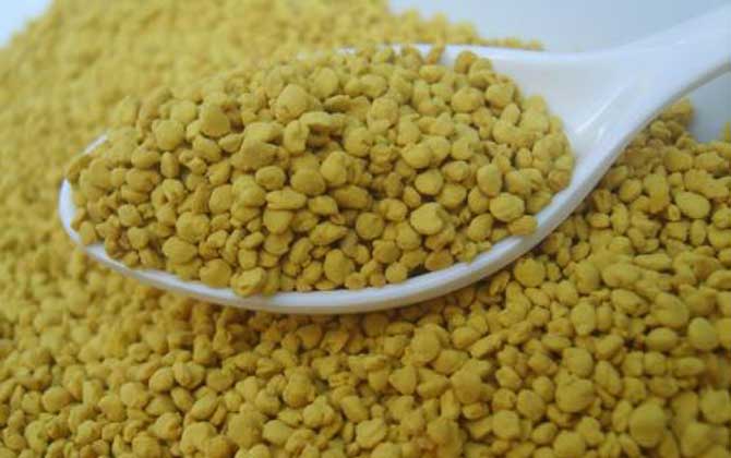 油菜花粉的功效與作用,經常吃油菜花粉,這7個好處跑不了! 油菜花粉