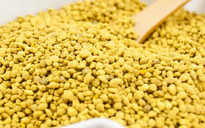 油菜花粉的功效與作用,經常吃油菜花粉,這7個好處跑不了! 油菜花粉