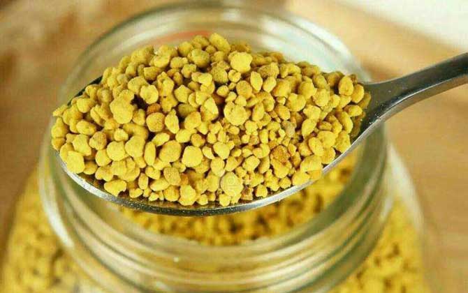 油菜花粉的功效與作用,經常吃油菜花粉,這7個好處跑不了! 油菜花粉