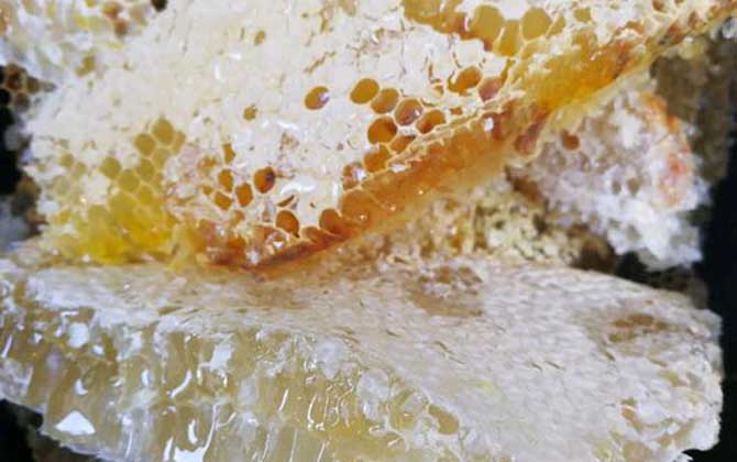 女人吃蜂巢有什么好處?不但能增強抗病力,還有美容養顏效果! 蜂巢