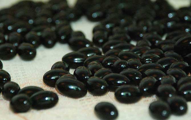 女性經常吃蜂膠的害處,容易發生過敏,還可能引起內分泌失調! 蜂膠