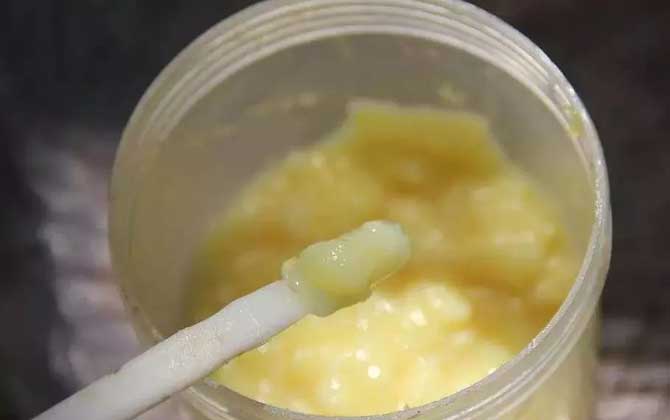 蜂王漿長期吃會雌激素過量嗎?不會,蜂王漿中雌激素含量并不高! 蜂王漿