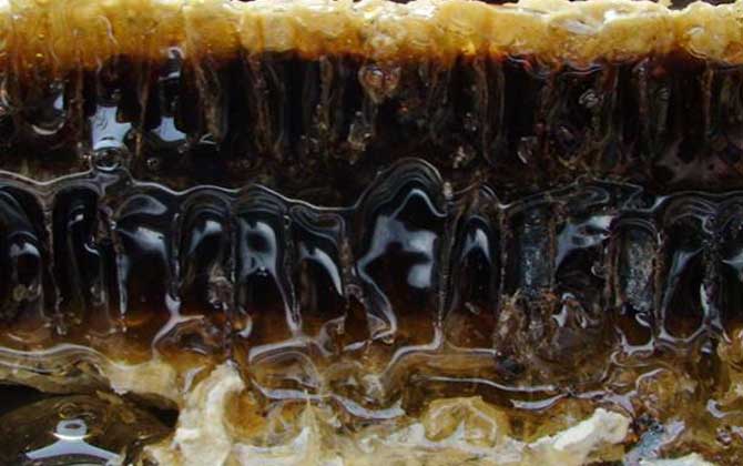 蜂巢治療鼻炎的用法,一般都是煮水,但一定要注意禁忌人群! 蜂巢