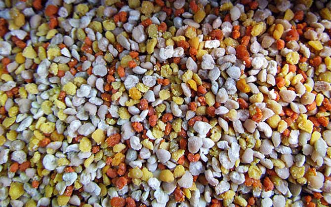 男人吃花粉影響性功能嗎?有一定的改善作用,長期服用能壯陽! 花粉