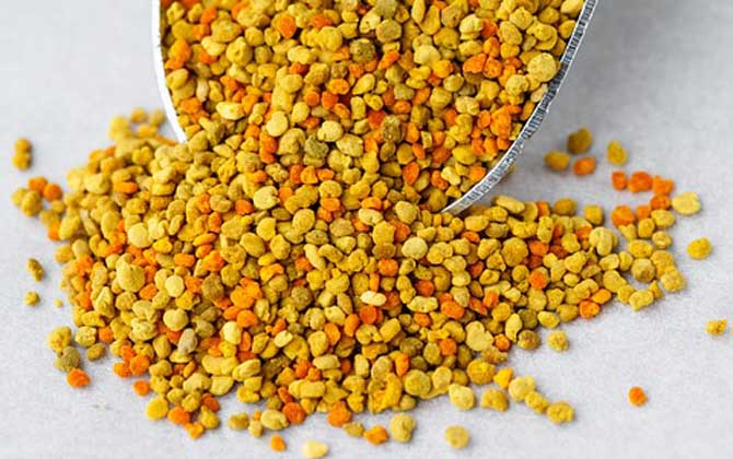 女人吃花粉的好處和壞處,適量吃對(duì)健康有益,過量吃反而有害! 花粉