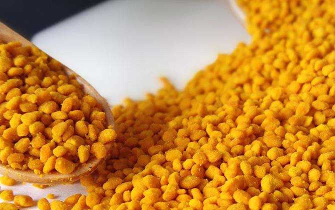 女人吃花粉的好處和壞處,適量吃對(duì)健康有益,過量吃反而有害! 花粉