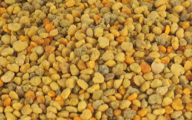 女人吃花粉的好處和壞處,適量吃對(duì)健康有益,過量吃反而有害! 花粉