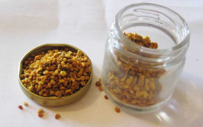 女人吃花粉的好處和壞處,適量吃對(duì)健康有益,過量吃反而有害! 花粉