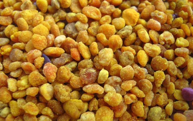 花粉的正確食用方法,絕對不能過量食用,還要注意禁忌人群! 花粉