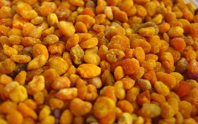 花粉的正確食用方法,絕對不能過量食用,還要注意禁忌人群! 花粉