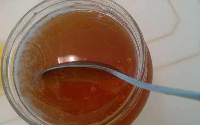 益母草蜂蜜的功效與作用及食用方法 益母草蜂蜜