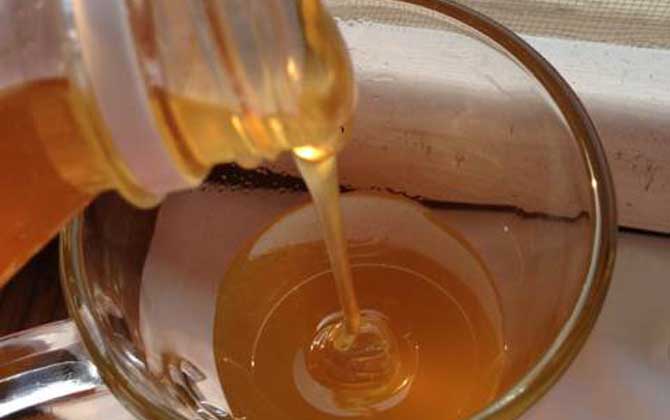 沙棗花蜜的功效與作用及食用方法 沙棗花蜜