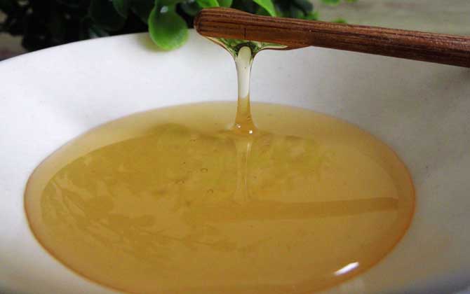 羅布麻蜜的作用與功效及食用方法 羅布麻蜜