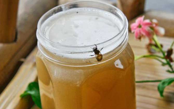 荔枝蜜價格多少錢一斤? 荔枝蜜