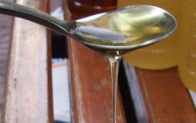 荔枝蜜價格多少錢一斤? 荔枝蜜