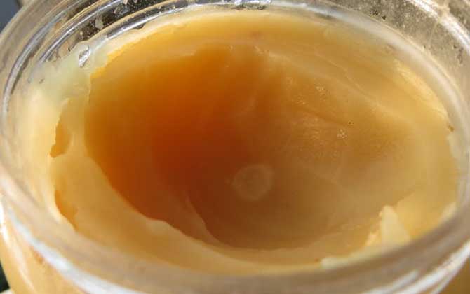 葵花蜜價格多少錢一斤? 葵花蜜