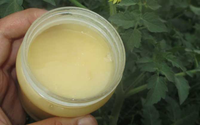 蜂蜜蘋果醋什么時(shí)候喝最好? 蜂蜜