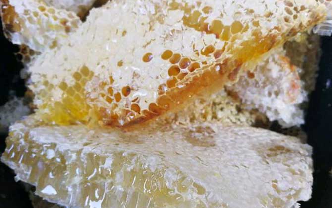 蜂巢有什么作用與功效? 蜂巢