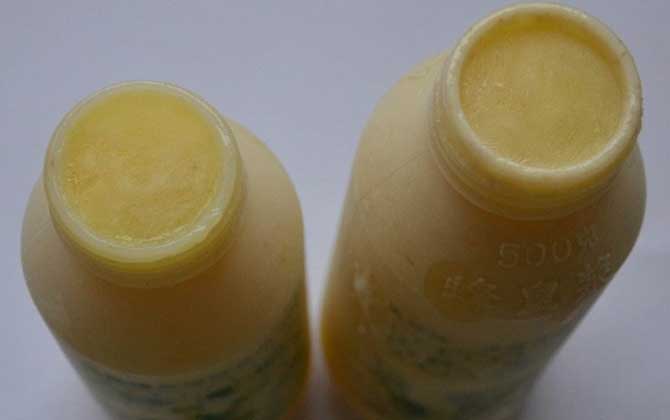 蜂王漿可以治黃褐斑嗎? 蜂王漿