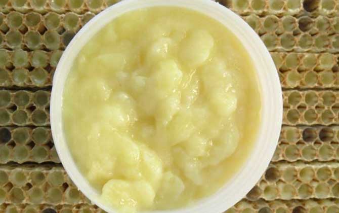 喝蜂王漿一個月有什么變化? 蜂王漿