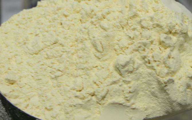 蜂王漿凍干粉的價格及選購方法 蜂王漿凍干粉