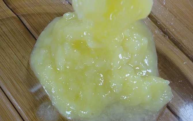 蜂王漿和蜂蜜有什么區別? 蜂王漿