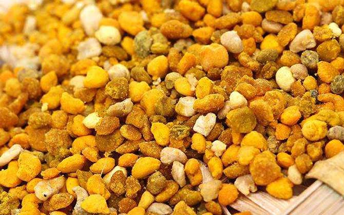 最新蜂花粉價格多少錢一斤? 蜂花粉