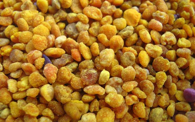 蜂花粉可以去黃褐斑嗎? 蜂花粉